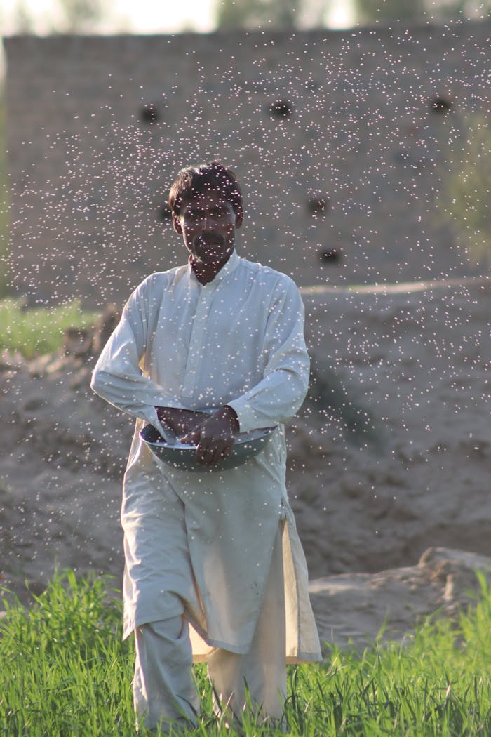 Mastering the First Impression: Your intriguing post title goes here A farmer in traditional clothing sows seeds in a rural landscape, symbolizing harvest beginnings.