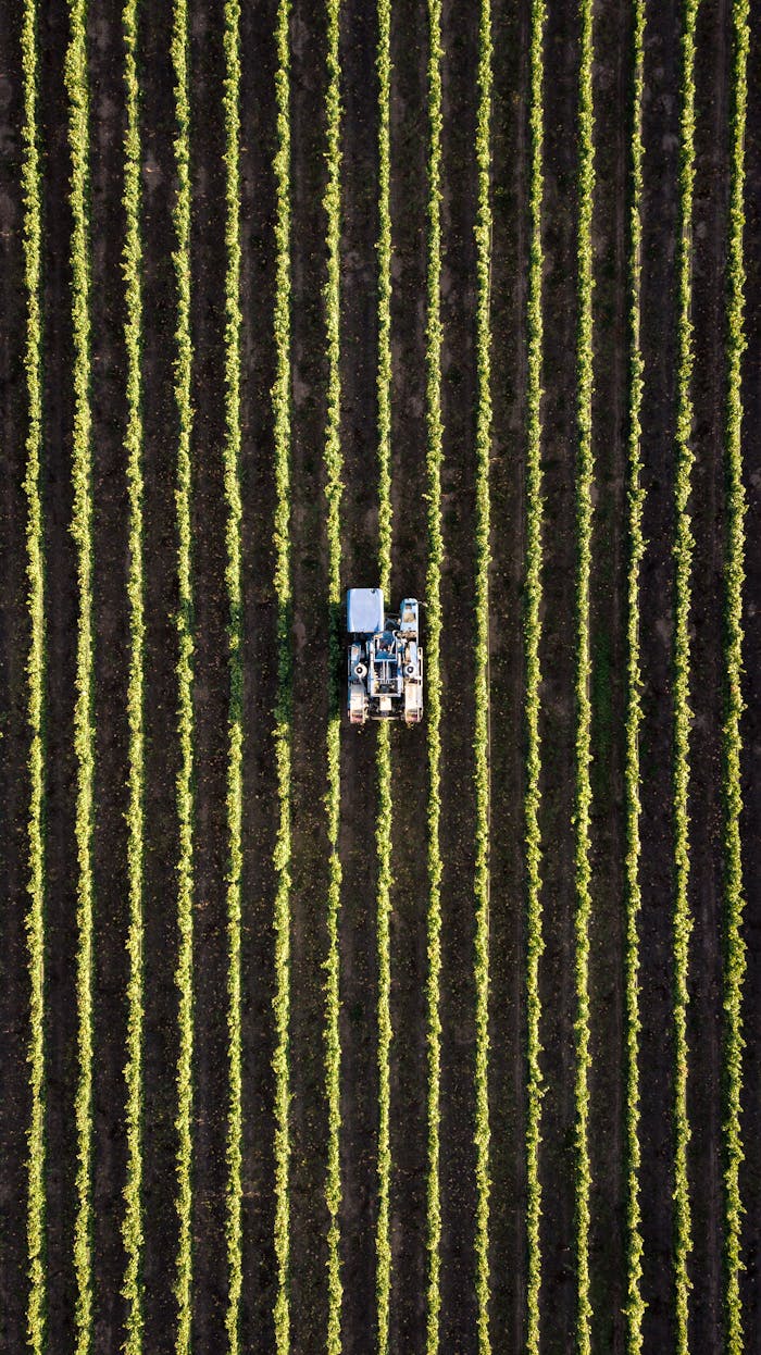 Services Aerial view of a tractor working in neat rows of a field, showcasing modern agriculture.
