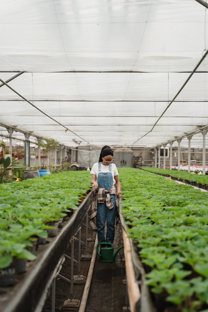 Services A woman in overalls tends to rows of green plants in a greenhouse, emphasizing agriculture and growth.